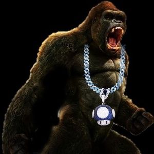 Meet your Posher, Hbk